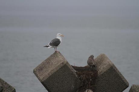 IMG_9188.JPG